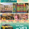 Sở hữu nhà Vinhomes Hậu Nghĩa kèm quà tặng xe điện VF3