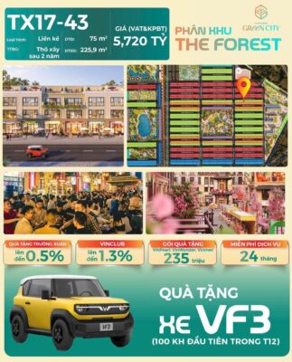 Sở hữu nhà Vinhomes Hậu Nghĩa kèm quà tặng xe điện VF3